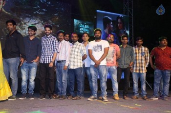 Ekkadiki Pothavu Chinnavada Audio Success Celebrations 2 - 40 of 77