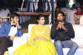 Ekkadiki Pothavu Chinnavada Audio Success Celebrations 2 - 42 of 77