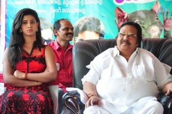 Eluka Majaka Movie Press Meet - 41 of 42