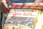 Emaindi Evela Movie Opening Stills - 13 of 30