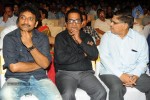 Endukante Premanta Movie Audio Launch 02 - 51 of 233