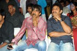 Endukante Premanta Movie Audio Launch 02 - 105 of 233