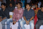 Endukante Premanta Movie Audio Launch 01 - 51 of 58