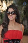 Ethiriyal Vel Tamil Movie Launch - 17 of 34