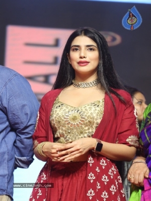 Falaknuma Das Movie Pre Release Event - 17 of 56