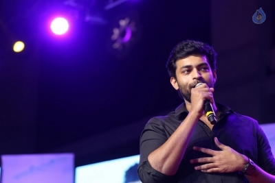 Fidaa Movie Audio Launch - 41 of 42
