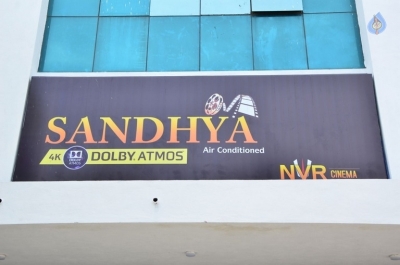 Fidaa Movie Team at Tirupathi Sandhya Theatre - 4 of 21