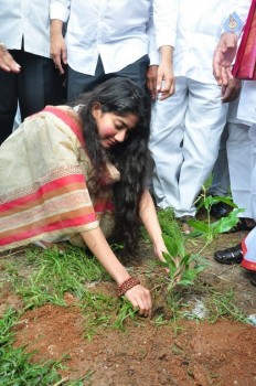 Fidaa Team Haritha Haram Event - 1 of 14