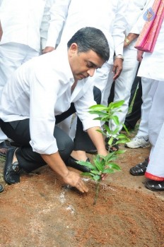 Fidaa Team Haritha Haram Event - 14 of 14