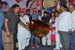 Full Guarantee Movie Audio Launch - 5 of 47