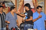 Gabbar Singh Movie Success Meet - 21 of 26