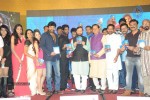 Gaddam Gang Audio Launch 02 - 16 of 152