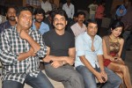 Gaganam Movie Success Meet - 32 of 41