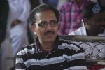 Gallo Telinattunde Movie Audio Launch - 187 of 203