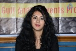 Gama Awards 2013 Press Meet - 48 of 136