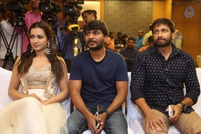 Gautham Nanda Movie Success Meet - 14 of 21