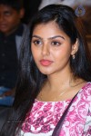 Geethanjali Audio Launch 02 - 66 of 108