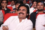 Gopala Gopala Audio Launch 04 - 23 of 162