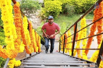 Gopichand and Sampath Nandi Movie Opening - 23 of 32