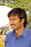 Gopichand New Movie Opening - 60 of 95