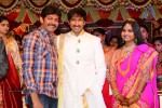 Gopichand Wedding Photos - 51 of 50