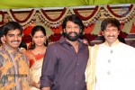 Gopichand Wedding Reception 01 - 92 of 190