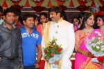 Gopichand Wedding Reception 02 - 92 of 173