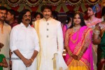 Gopichand Wedding Reception 02 - 96 of 173