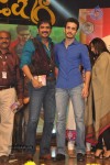 Greeku Veerudu Audio Launch 04 - 93 of 138