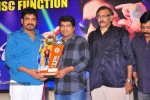 Greeku Veerudu Hexa Platinum Disc Function - 46 of 82