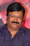 Greeku Veerudu Hexa Platinum Disc Function - 62 of 82