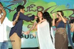 Gunde Jaari Gallanthayyinde Audio Launch - 108 of 298