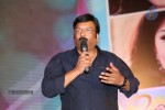 Gunde Jaari Gallanthayyinde Audio Launch - 176 of 298