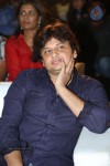 Gunde Jaari Gallanthayyinde Audio Launch - 186 of 298