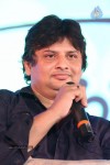 Gunde Jaari Gallanthayyinde Audio Launch - 240 of 298