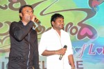 Gunde Jaari Gallanthayyinde Audio Launch - 268 of 298