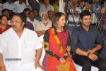 Gundello Godari Movie Platinum Disc Function - 17 of 115