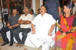 Gundello Godari Movie Platinum Disc Function - 24 of 115