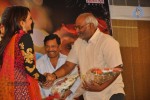 Gundello Godari Movie Platinum Disc Function - 29 of 115
