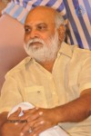 Gundello Godari Movie Platinum Disc Function - 39 of 115