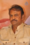 Gundello Godari Movie Platinum Disc Function - 57 of 115