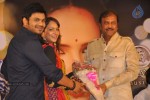Gundello Godari Movie Platinum Disc Function - 91 of 115