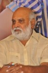 Gundello Godari Movie Platinum Disc Function - 93 of 115