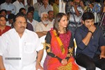 Gundello Godari Movie Platinum Disc Function - 95 of 115