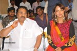 Gundello Godari Movie Platinum Disc Function - 111 of 115