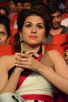 Guntur Talkies Audio Launch 3 - 30 of 56