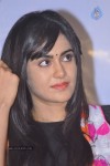 Heart Attack Movie Audio Success Meet - 13 of 68