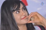 Heart Attack Movie Audio Success Meet - 21 of 68