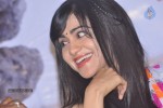 Heart Attack Movie Audio Success Meet - 22 of 68