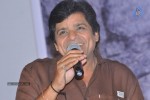 Heart Attack Movie Audio Success Meet - 27 of 68